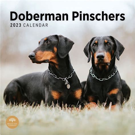 Doberman Calendar 2023